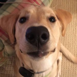 Meet your Posher, Jacob